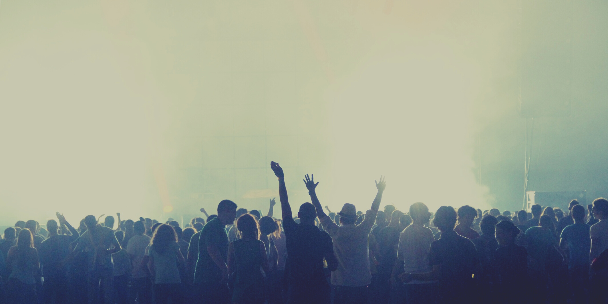 Crowd at a Concert